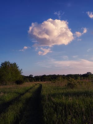 hidden trail in ames, iowa